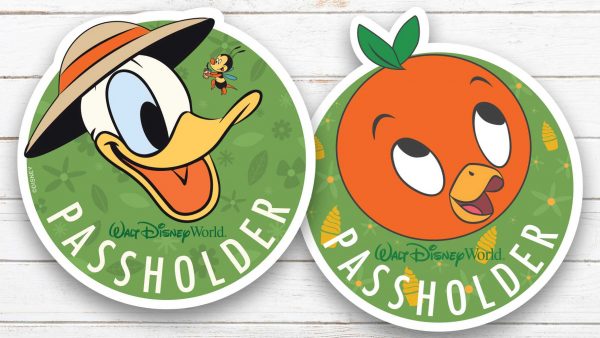 New 2020 Epcot Flower & Garden Annual Passholder Magnets, Merch and More!