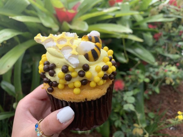 Seasonal cupcake at Disney's Animal Kingdom 