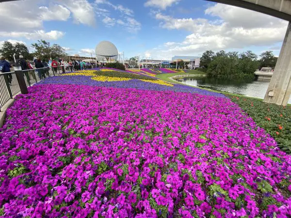 2020 Epcot Flower And Garden- Topiaries Have Begun To Arrive