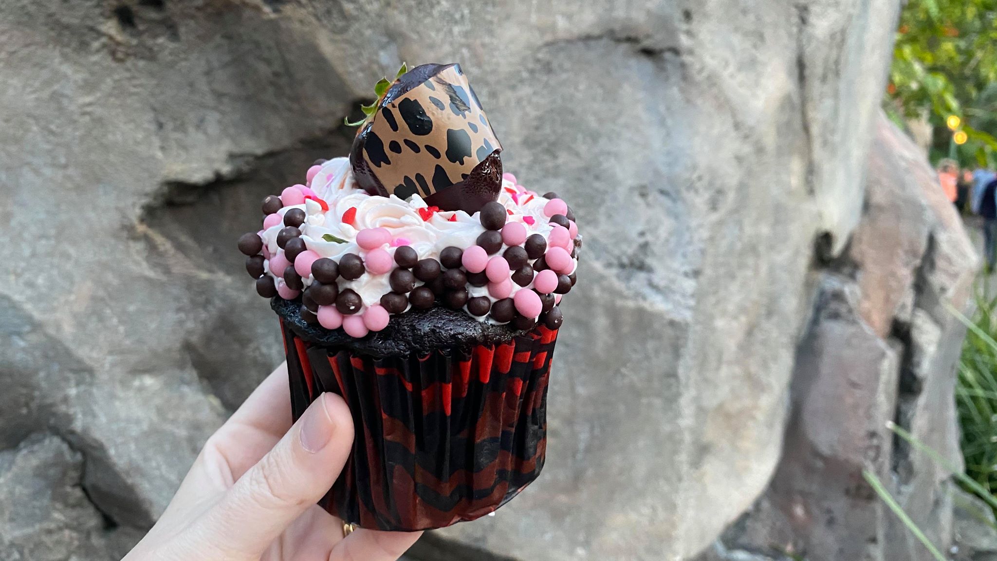 New Valentine’s Day Cupcake At Animal Kingdom!