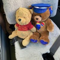 Southwest Airlines Helps Girl Reunite With Her Lost Pooh