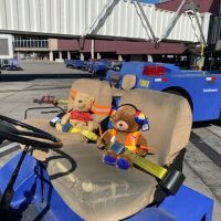 Southwest Airlines Helps Girl Reunite With Her Lost Pooh