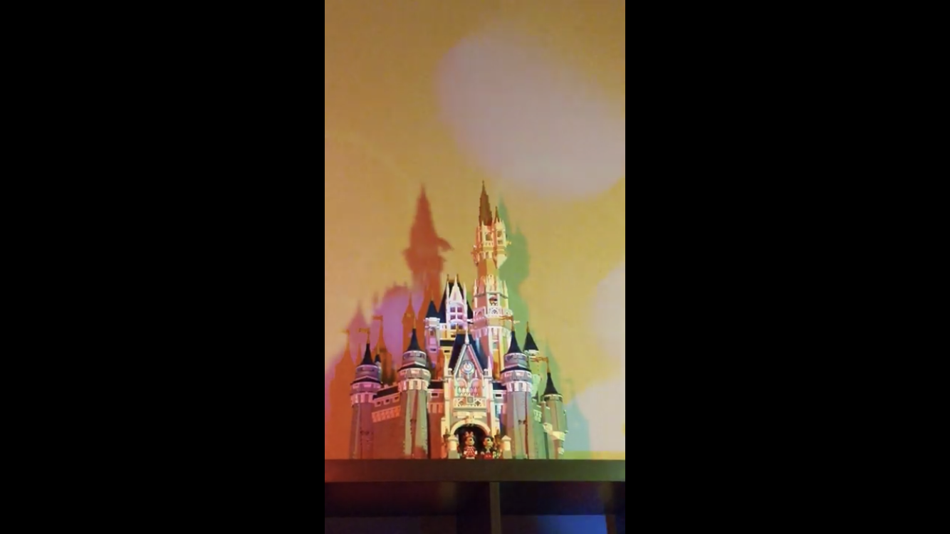 Couple Recreates the Magic Kingdom’s ”Happily Ever After” Spectacular at Home