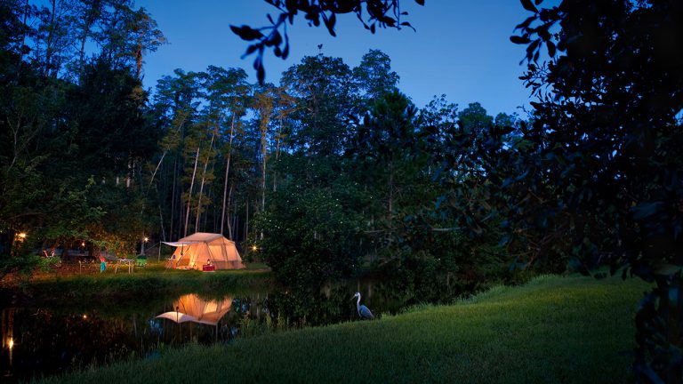 Disney Releases Spring Discount for Campsites at Fort Wilderness Resort & Campground
