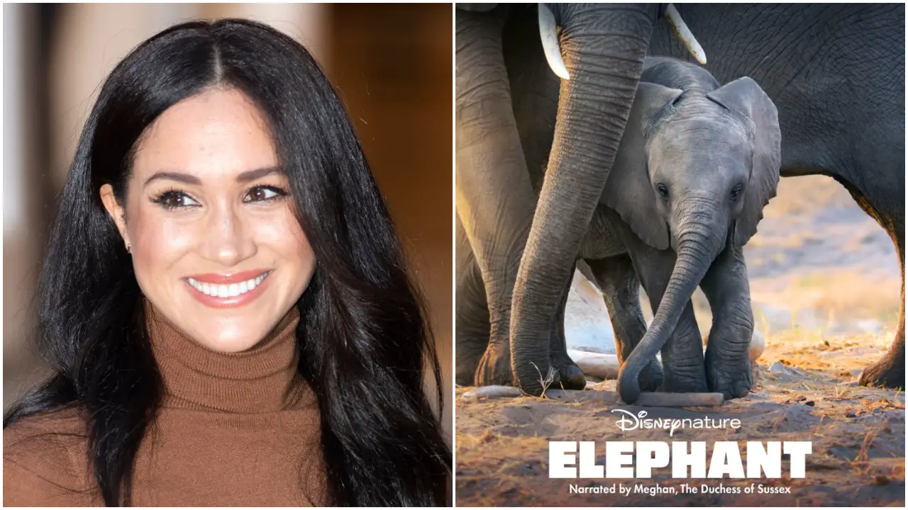Meghan Markle to narrate Disneynature film Elephant