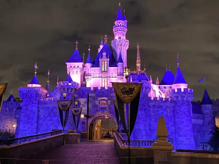 Disney Halts all Construction Projects in Disneyland and Disney ...