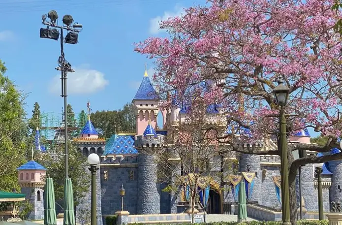 President of Disneyland Shares how Beautiful the Parks Look