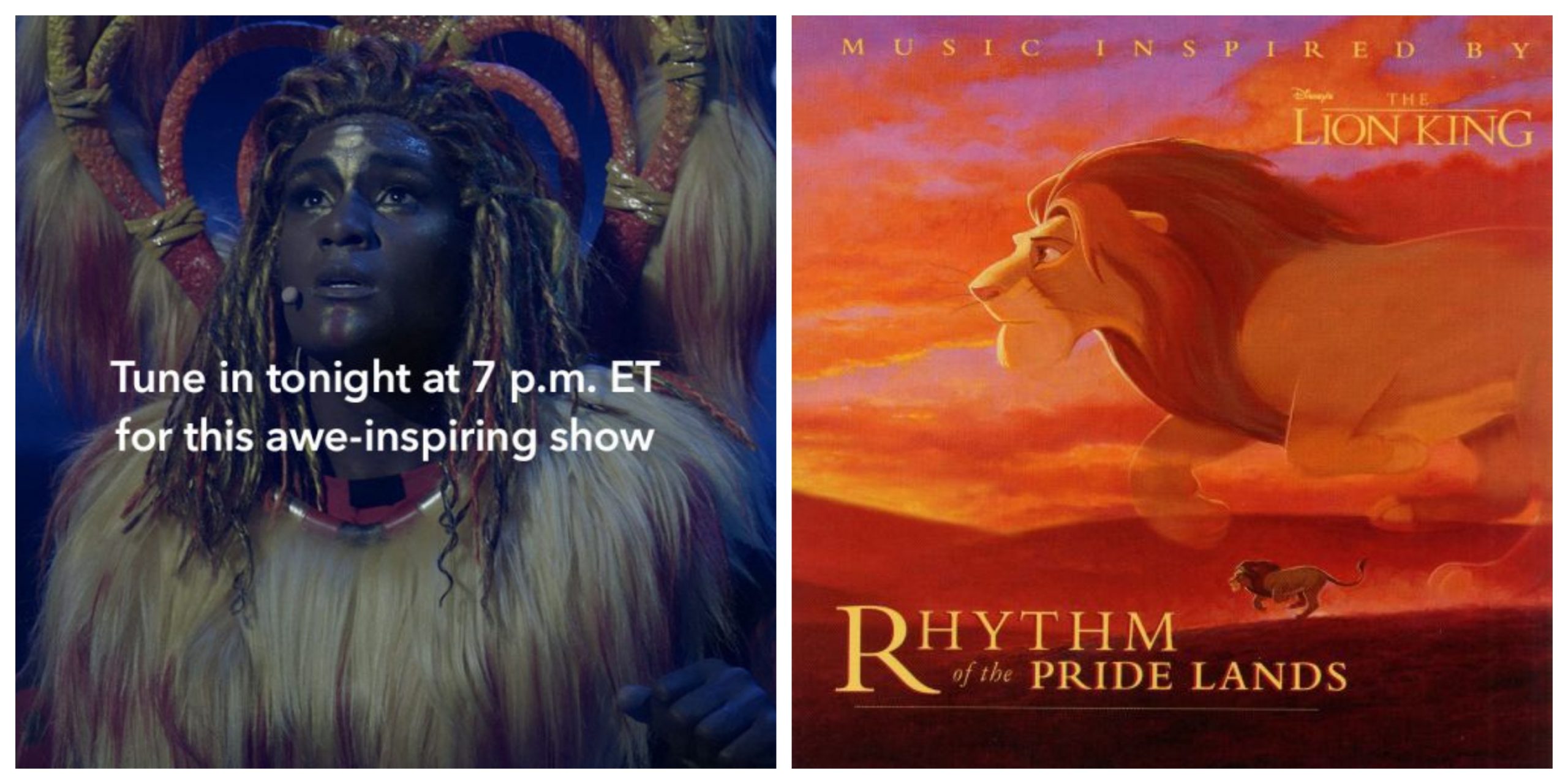 Tune in Tonight to watch The Lion King: Rhythms of the Pride Lands at Disneyland Paris