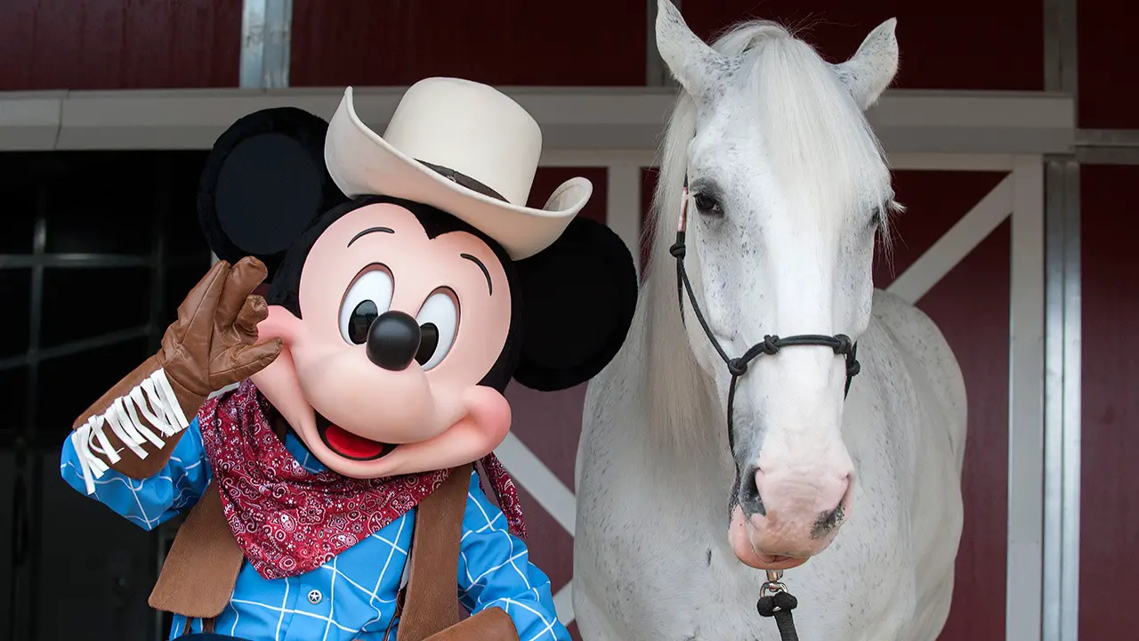 Checking on the Disneyland horses with Disneyland President Rebecca Campbell