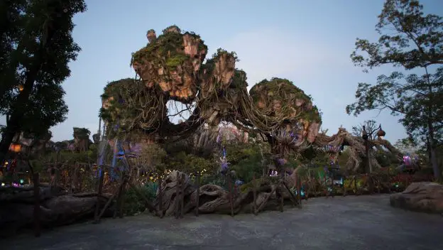 Celebrating the Third Anniversary of Pandora at Walt Disney World!