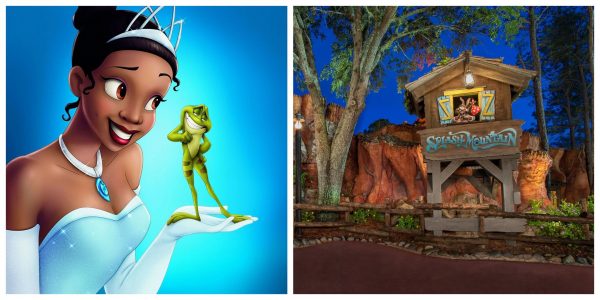 Fans Call For Disney to Re-Imagine Splash Mountain With 'Princess and the Frog' Theme