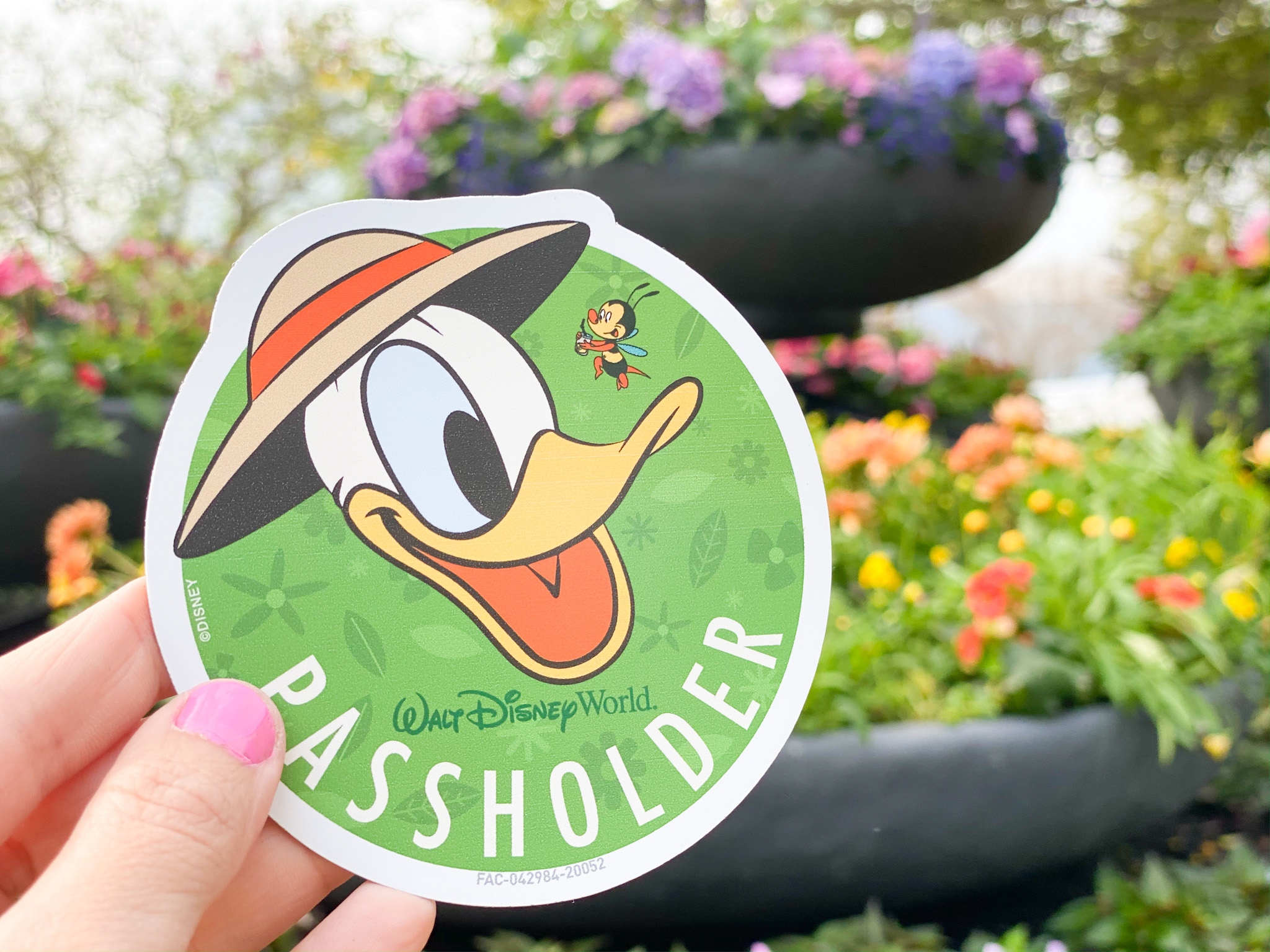 Disney to Surprise Passholders with New Exclusive Magnet