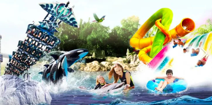 SeaWorld Aquatica and Discovery Cove Parks in Orlando Set to Reopen June 11th
