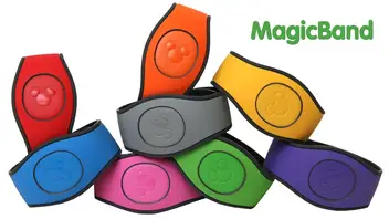 Buy your own Magic Band Scanner for at home!