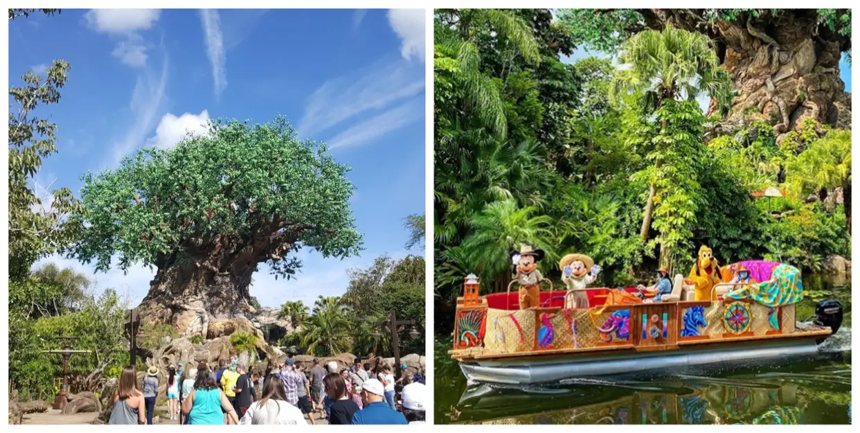 First look at the Discovery River Character Cruise in the Animal Kingdom