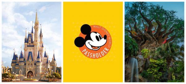 Annual Passholder Preview