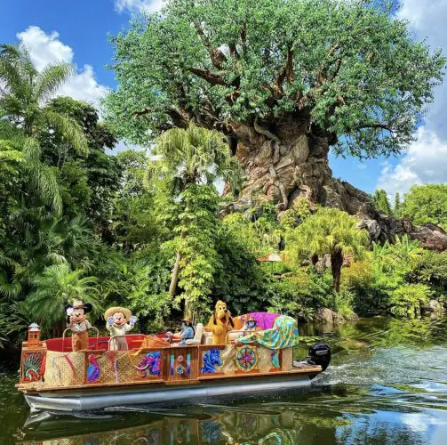First look at the Discovery River Character Cruise in the Animal Kingdom