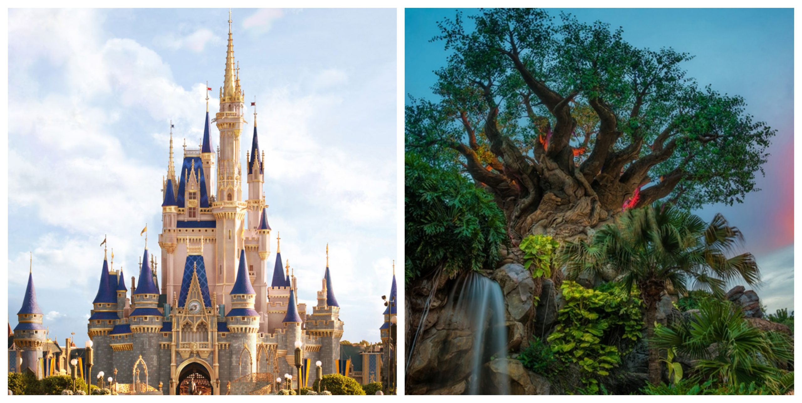 Relaxation Station locations for the Magic Kingdom and the Animal Kingdom