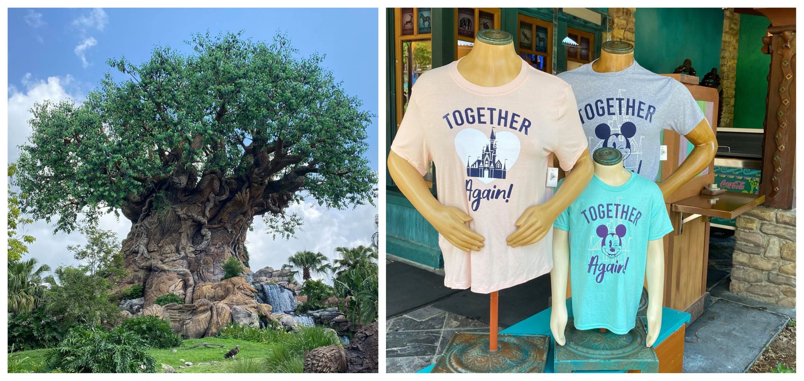 Disney World Celebrates the Reopening with specialty merchandise