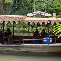 Social Distancing Measures In Place On The Jungle Cruise