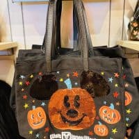 Halloween merchandise has materialized at World of Disney!