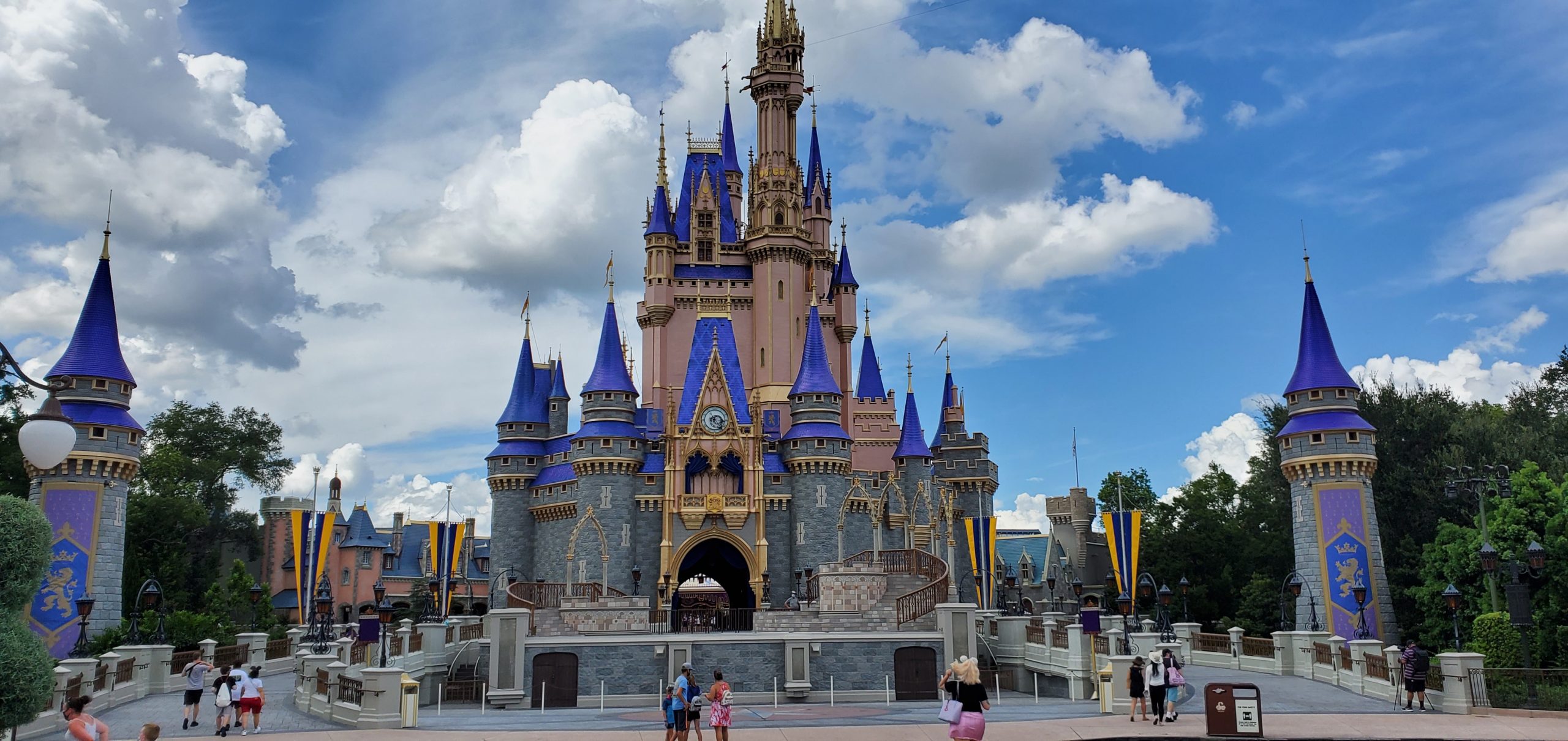 Disney World offering new flex ticket option for Florida Residents