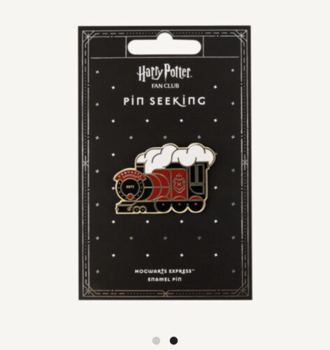 Wizarding World Debuts New Harry Potter Pin Seeking Collection