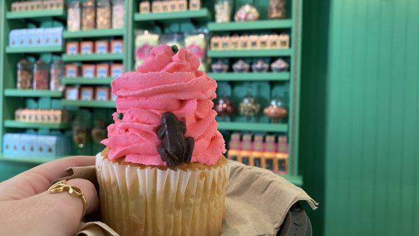 Honeydukes Mini Chocolate Frog Cupcake Is A Must Try