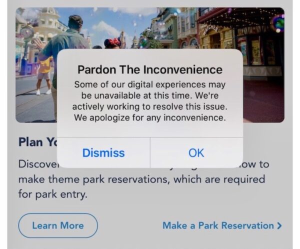 Rise of Resistance and Disney World websites experiencing issues due to Nationwide Internet Outage