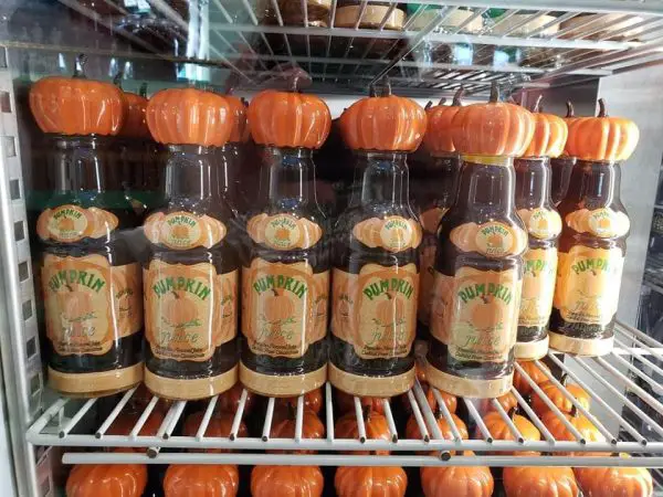 Harry Potter's Pumpkin Juice Is The Perfect Treat For Fall