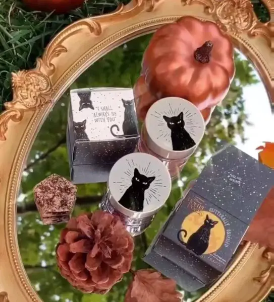 Wicked New Hocus Pocus ColourPop Makeup Collection Coming Soon