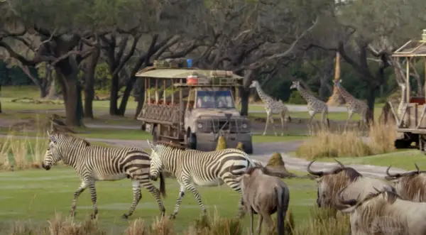 Official Trailer For "Magic of Disney’s Animal Kingdom" coming to Disney+
