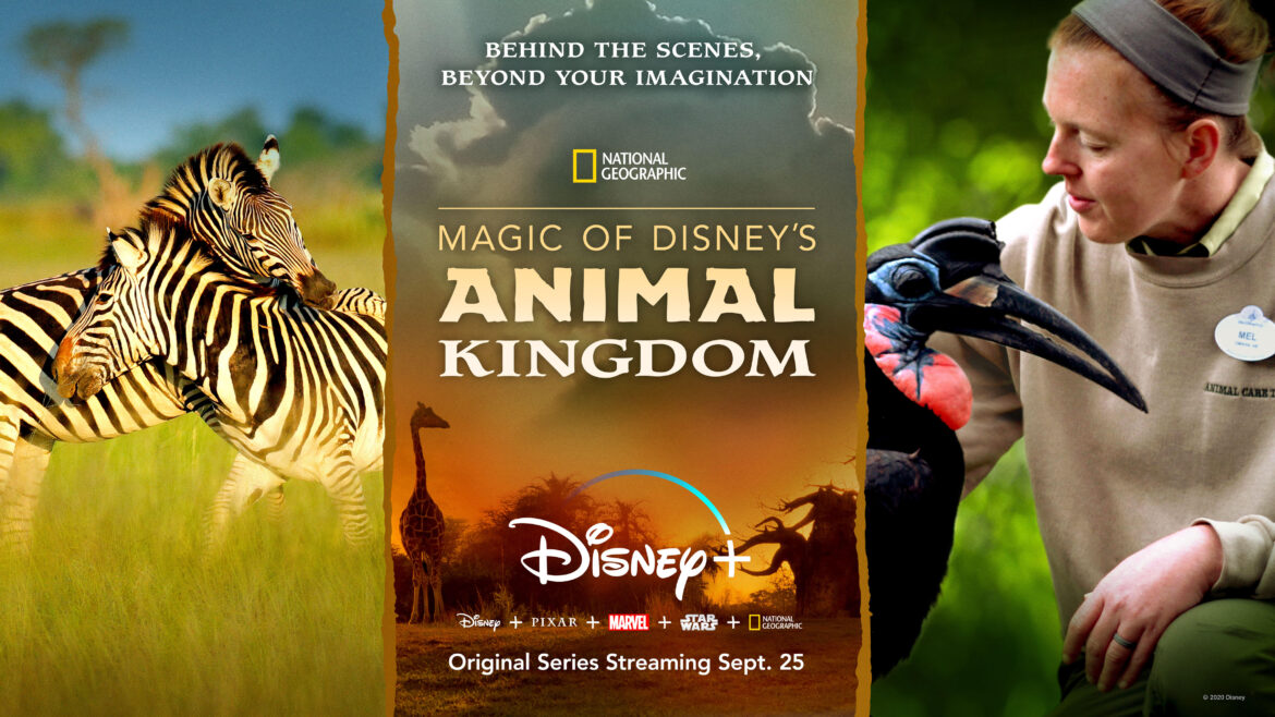 Go Behind the Scenes With ‘Magic of Disney’s Animal Kingdom’ Presented by National Geographic