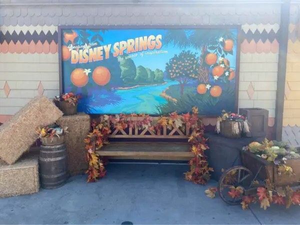 Fall into Magic Decor at Disney Springs