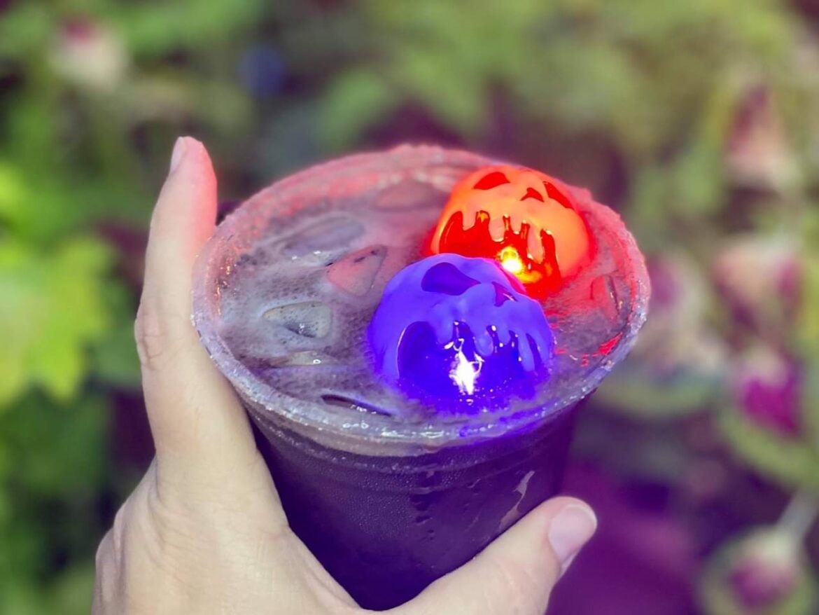 Black Magic Margarita from Disney Springs will have you wanting more