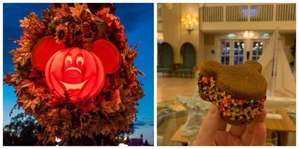 Pumpkin Whoopie Pie at Disney's Beach Club is a Fun Halloween Treat