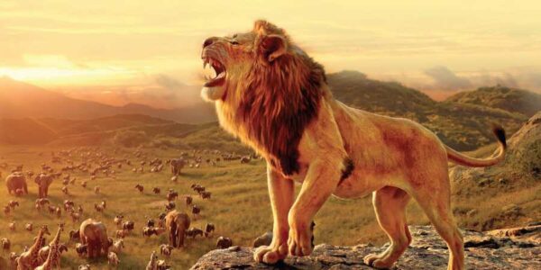'The Lion King' Sequel "In Development" at Disney with New Director