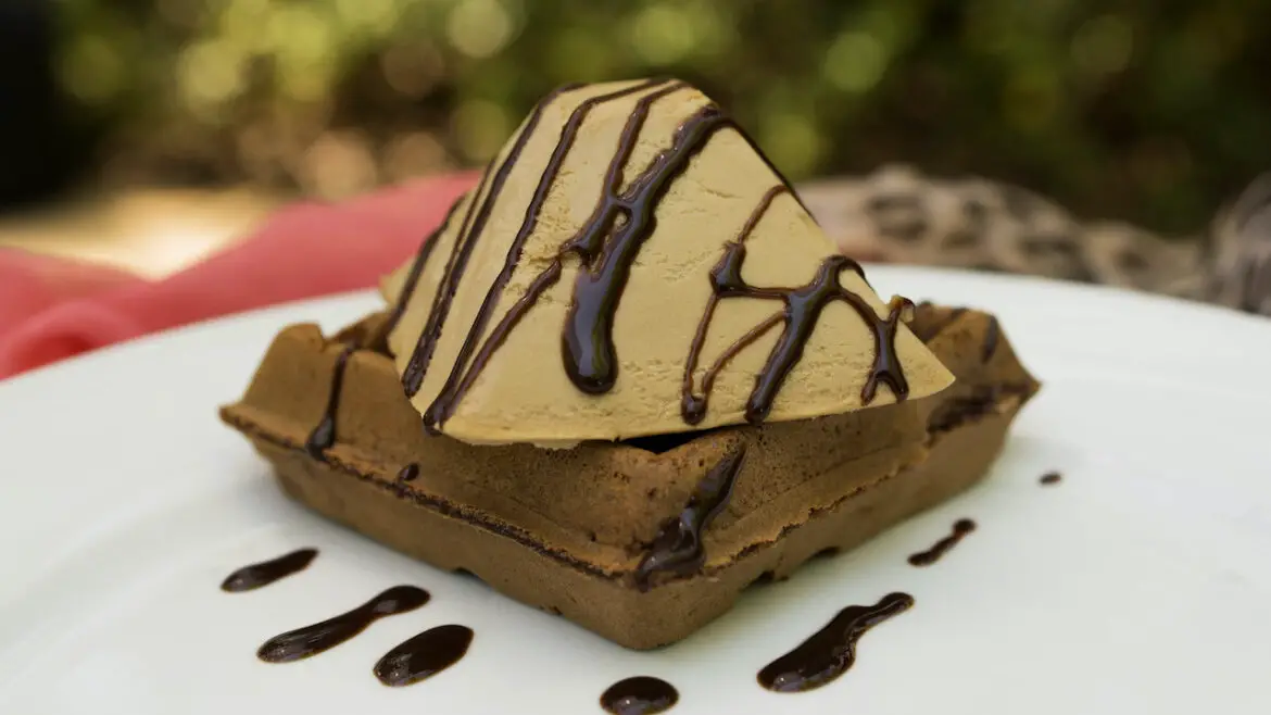 Chocolate Waffles from Tamu Tamu Refreshments at Disney’s Animal Kingdom