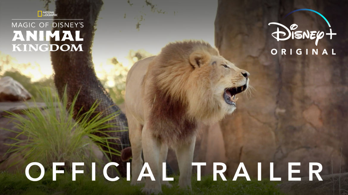 Official Trailer For “Magic of Disney’s Animal Kingdom” coming to Disney+