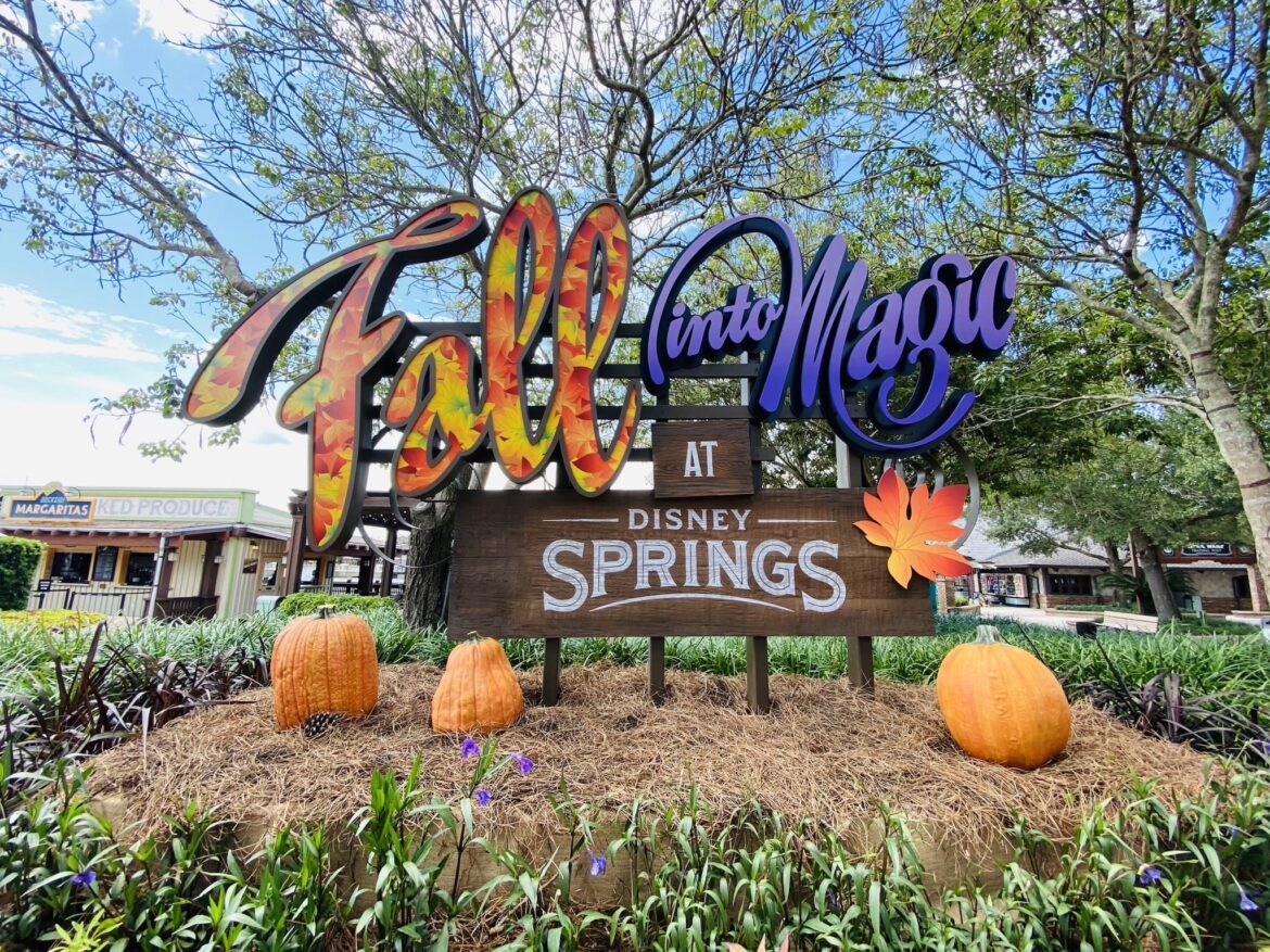 Fall Into Magic At Disney Springs!