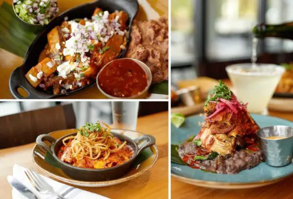 Special Dining Offers For WeekDays At Disney Springs!