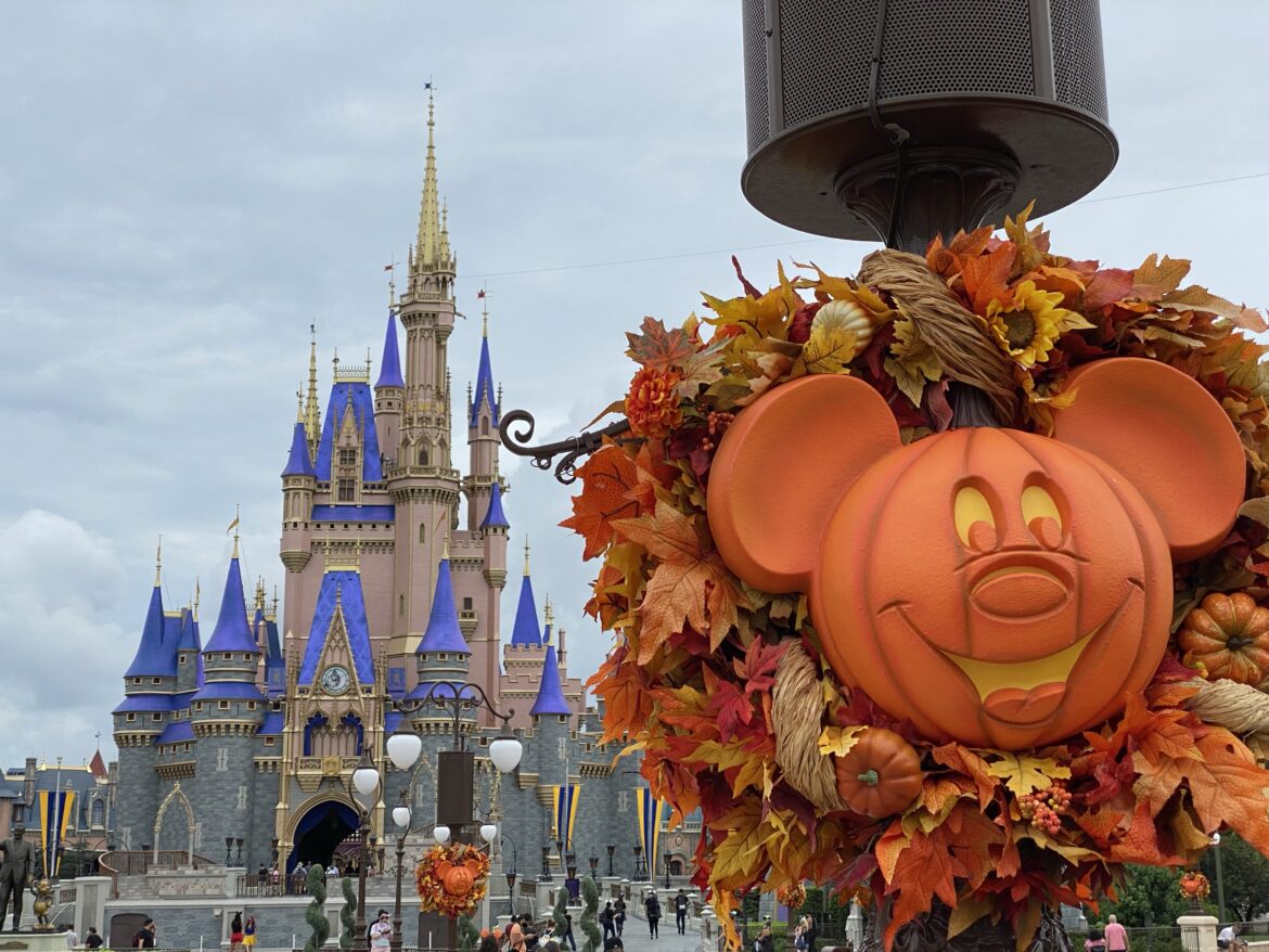 Adults Can Now Wear Costumes In The Magic Kingdom For Halloween