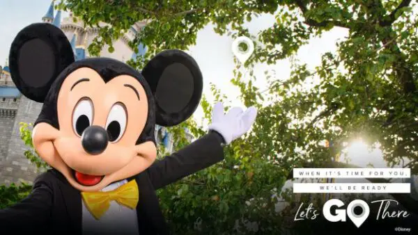 Planning a Disney Vacation can boost your happiness and even increase your energy levels.