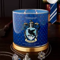 The Charmed Aroma Harry Potter Collection is perfect for Wizards and Muggles Alike