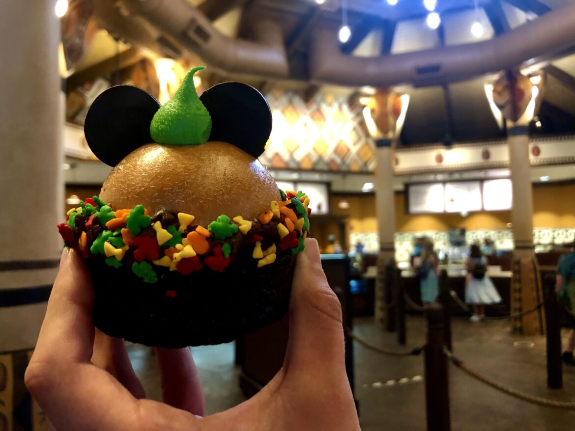 New Pumpkin Cheesecake Brownie at Disney’s Animal Kingdom