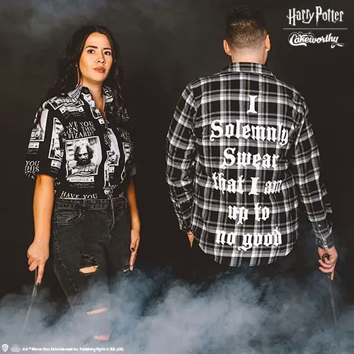 Be Hogwarts Ready With The New Cakeworthy Harry Potter Collection