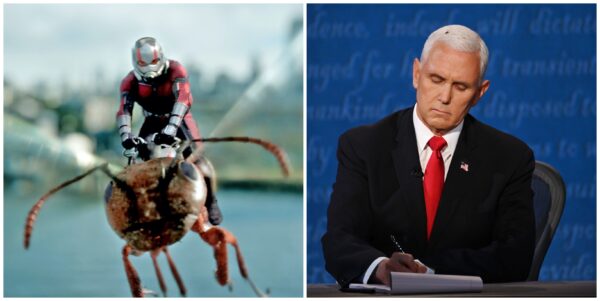 Marvel Fans Crack Ant-Man Jokes After a Fly Lands on Mike Pence's Head During VP Debate
