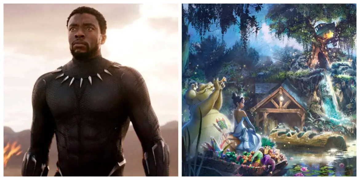 Fans ask Disney to Redesign Splash Mountain to Black Panther in honor of Chadwick Boseman