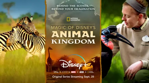 Animal Care Team is the highlight of the next episode of Magic of Disney’s Animal Kingdom