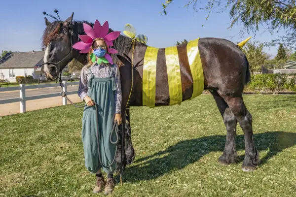 Have some Halloween fun with the Horses at Disney's Circle D Ranch